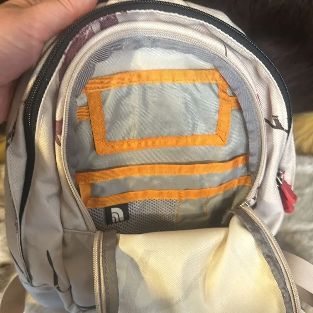 The North face mini backpack (3450)